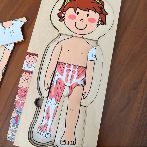 Kids Anatomy Wooden Puzzle Toy - Picture 4 of 7